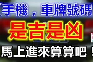 算出你的【手機，車牌號碼】是「吉」是「凶」？馬上進來算算吧！