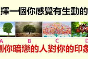 選擇一個你感覺有生動的樹，測你暗戀的人對你的印象！