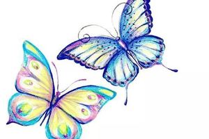 趣味測試：哪兩只蝴蝶會成為情侶，測你和喜歡的人在一起幾率多大