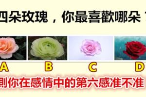 四朵玫瑰，你最喜歡哪朵？測你在感情中的第六感準不準？