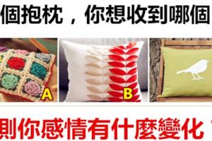 3個抱枕，你想收到哪個？測你感情有什麼變化？
