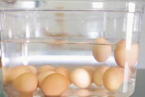 6個進廚房之前要記得的聰明小技巧，如果雞蛋浮起來就絕對不要煮來吃！