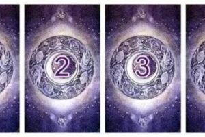 塔羅牌佔卜：你適合做一名單身貴族麼