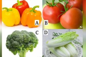 給你十元錢，你會買哪種蔬菜？測你未來存款多還少？