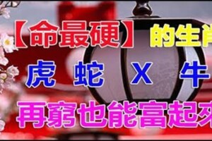 「命最硬」的生肖，再窮也能變富人，希望有你！