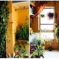 她利用500種不同的植物，把自己的公寓打造成室內叢林！