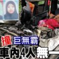 小靈鹿撞巨無霸！車內4人無一生還！最小死者僅6個月...