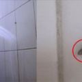 廁所裡常見的『小飛蟲』，原來是從這些地方出來的！一定要知道「牠」竟然會傳染病毒！教你4招可以徹底消滅！