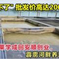 怡保青年文萊學習養魚回霹靂創業，一條忘不了批發價高達2000令吉！