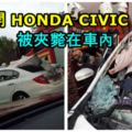日本男子南北大道上班途中，轎車突然撞向一頭衝出馬路的牛，導致人牛同喪虎口！