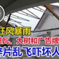 巴生周一午狂風暴雨吹走屋瓦、大樹和廣告牌倒下、鋅片亂飛嚇壞人