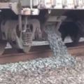 這就是為什麼火車鐵道上要堆滿碎石的原因！看完後只能說人類真是太聰明！