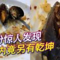 2018-11-24:吉隆坡,吃意粉驚人發現-青蚝內竟另有乾坤!網上瘋傳！