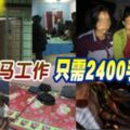 偷渡來馬工作只需2400手續費！