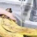 香蕉用水沖一衝，真的厲害，吃了30多年還不知道，學到了