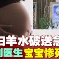 孕婦羊水破等4小時「寶寶胎死腹中」　醫生：醫院生產就要排隊