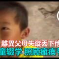 5歲童輟學照顧癱瘓爺爺惹哭網民