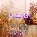 三生緣~楊靜、莊振凱【KTV導唱字幕】