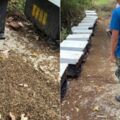 養蜂場500多萬隻蜜蜂疑遭毒殺 警調閱監視器追凶
