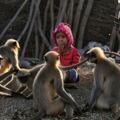 印度男孩會猴語，20隻猴子每天來找他「嘮嗑」,村民：都說了些啥