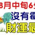 8月中旬財運最好，沒有霉運的六生肖