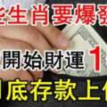 這些生肖要爆發了，14號開始財運發發發！