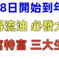 4月8日到2023年底財是橫財，喜是大喜，必發大財的生肖