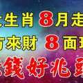 8月走大運的8大生肖，8方來財，8面玲瓏，賺錢好兆頭