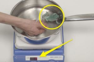 這名網友把青蛙放入水中，想做一個「溫水煮青蛙」的實驗，沒想到當水到「500度c」的時候...