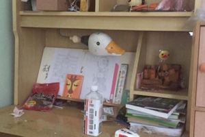 他貼出這款每個人家中都有的「小鴨書桌」勾起大家回憶，網友狂贊「經典不敗款」到現在還在用！