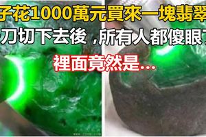 男子花1000萬元買來一塊翡翠石，一刀切下去後，所有人都傻眼了！裡面竟然是…
