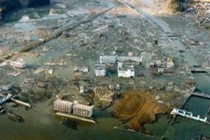 日本福島核輻射過了五年，生物變種千奇百怪..現在那裡竟然變成「這樣」！黃瓜上還長出葉子！
