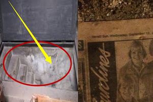 一名澳洲男子便宜買下了心目中的新房，打掃時發現客廳一角的地毯下竟然有個地下室！樓梯走到一半他就決定要轉賣了…