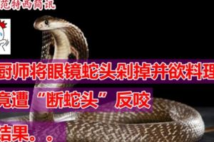 要死了我也不放過你？斷頭眼鏡蛇反咬廣東廚師被毒死！！