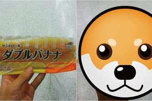 日本電車有多擠？這張照片說明一切...去過日本的網友狂附和：千萬別在上下班時間搭