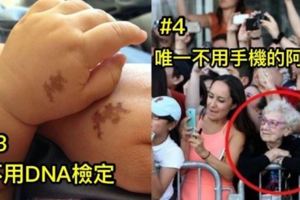 20張「你肯定會放下手上所有在忙的事，只為了看一眼」的超療癒照片！