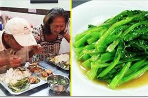 貧窮老夫婦和孫子「點一盤青菜吃3小時」被老闆催趕，隔壁桌客人見狀決定…