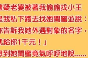 老公懷疑妻子有小王，因此找她閨蜜套出真相，沒想到閨蜜竟「意外出賣好友」...網友：只怕豬一般的隊友！