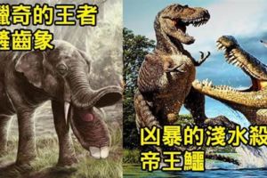 史前7種「恐龍看到都得退避三舍」戰力爆表霸主。#6能「一口吞掉恐龍」的青蛙！