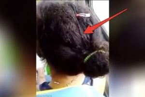 她搭公車時發現「前面的女乘客頭上怪怪的」，沒想到拿手機拍到一半，朋友竟告訴她說「不要拍，快下車！」