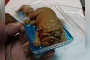 他到朋友家作客吃飯，沒想到酒足飯飽之後，朋友竟然「端出小狗」說要給他當甜點？
