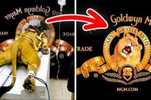 12個全世界都赫赫有名的大品牌Logo「隱藏小秘密」，每個Logo都是有故事的！