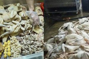 業者秘密曝光！沒想到「夜市鹹水雞」的雞其實是....難怪長輩都說別吃太多！