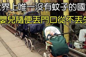 這是世界上唯一「沒有蚊子」的國家，「嬰兒隨便丟門口」也不會走失！