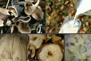 13個最聰明的生活小竅門，省錢又實用，家家都能用的著！