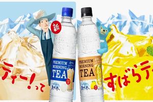 透明奶茶的真相