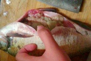 吃魚一定要去掉這個「部位」，毒性比砒霜的還大，趕緊告訴家裡人！