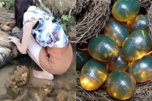 女子河邊捉魚發現巢穴內神秘蛋，細看後發現很古怪，網友一語道破天機！