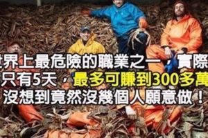 這是世界上「最危險的職業」，1年只工作5天「薪酬高達300萬」，但每分鐘都是用命來搏！