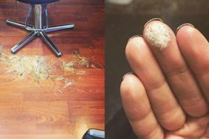 23個發型師埋藏在心裡不輕易告訴別人的真心話！